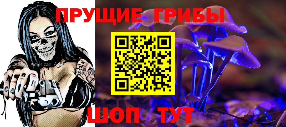 Псилоцибиновые грибы MAGIC MUSHROOMS  Вход с VPN  сколько стоит  Борисоглебск  Псилоцибиновые грибы мицелий 