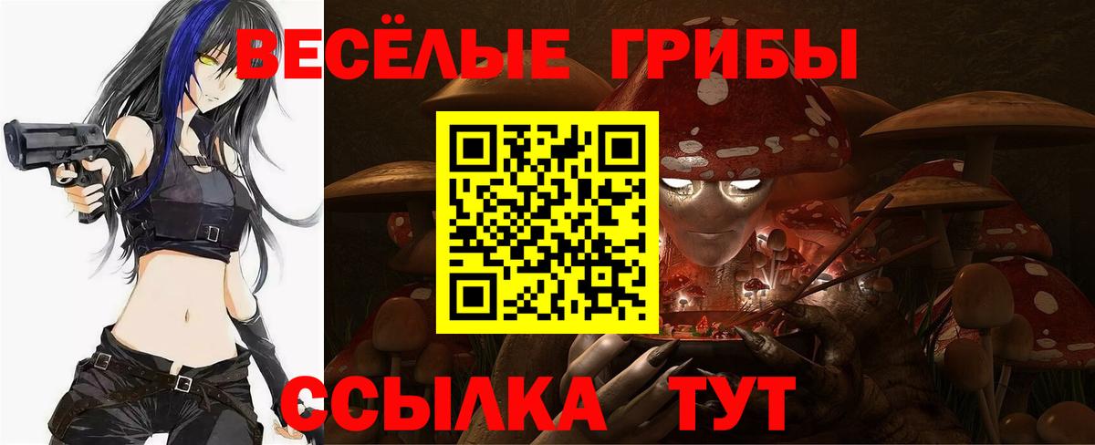 Псилоцибиновые грибы прущие грибы Борисоглебск